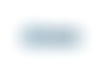 The Siemer Institute