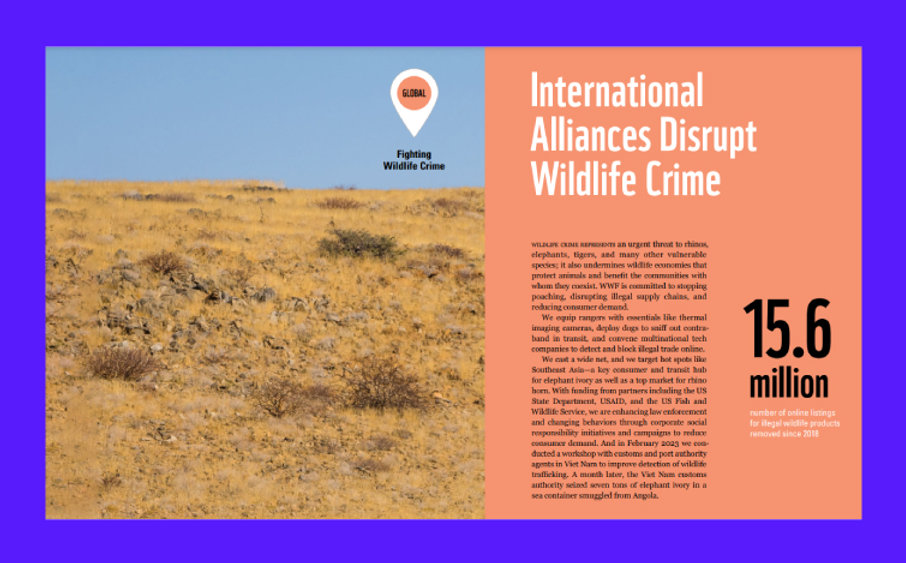 A screenshot of WWF’s annual report that features impact stories