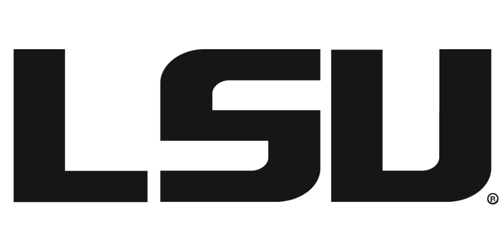 lsu copy 2