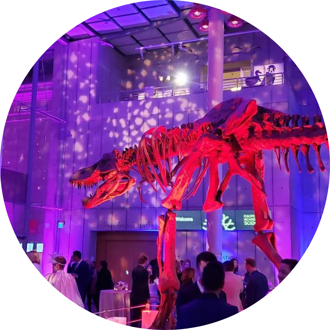 illuminate case study