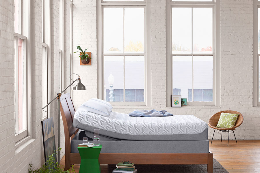 wisetail-tempursealy-lms