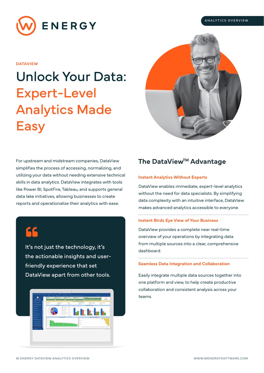 Unlock Expert-Level Analytics with DataView