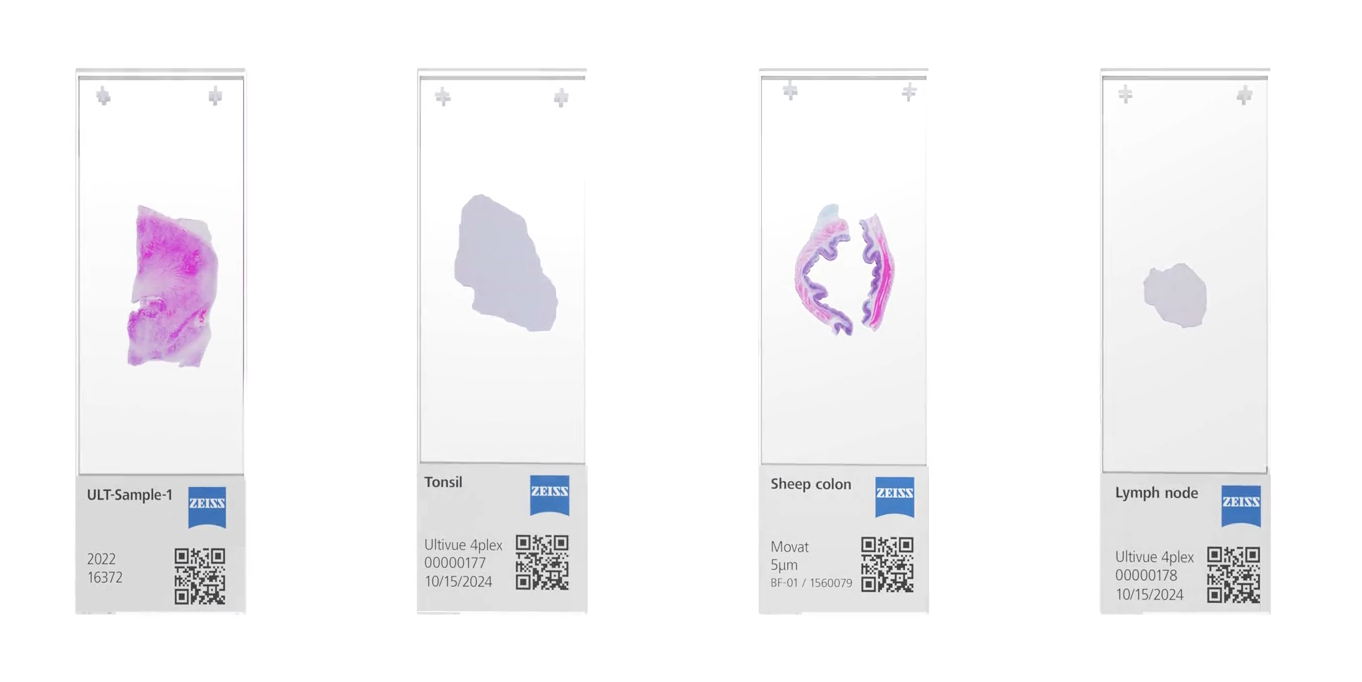 ZEISS Spatial Biology Workflow