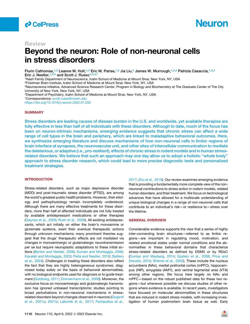 Beyond the neuron: Role of non-neuronal cells in stress disorders