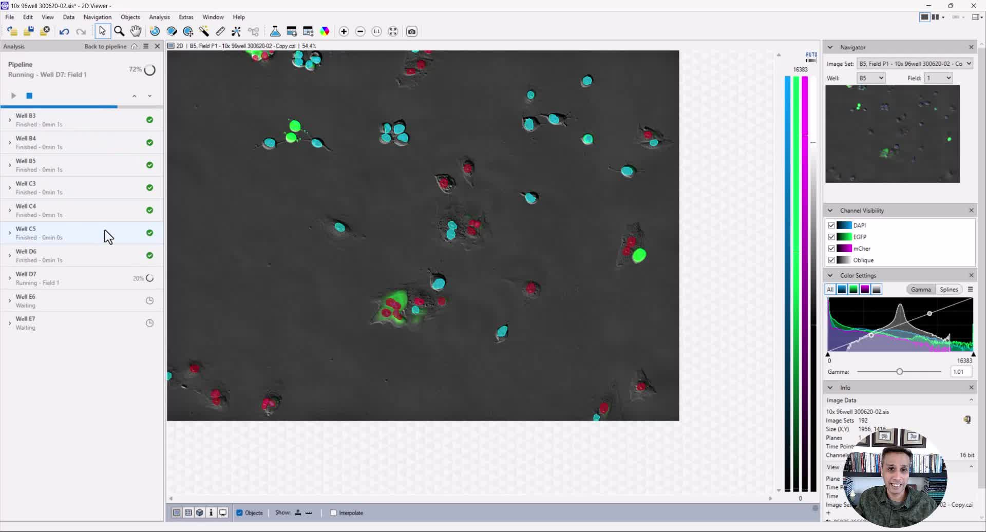 Tutorial: Multiwell analysis in arivis Pro