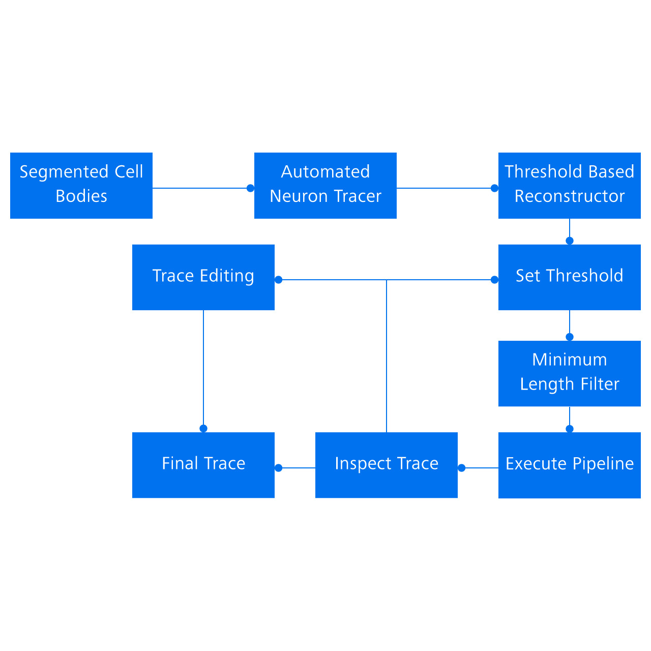 Neurite Segmentation Pipeline