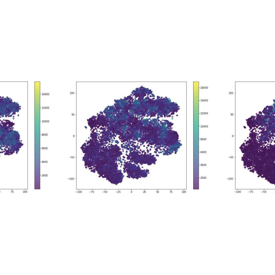 Figure 22: Expression of Syntaxin, Synaptobrevin and Synaptophysin in the reduced dimensionality space