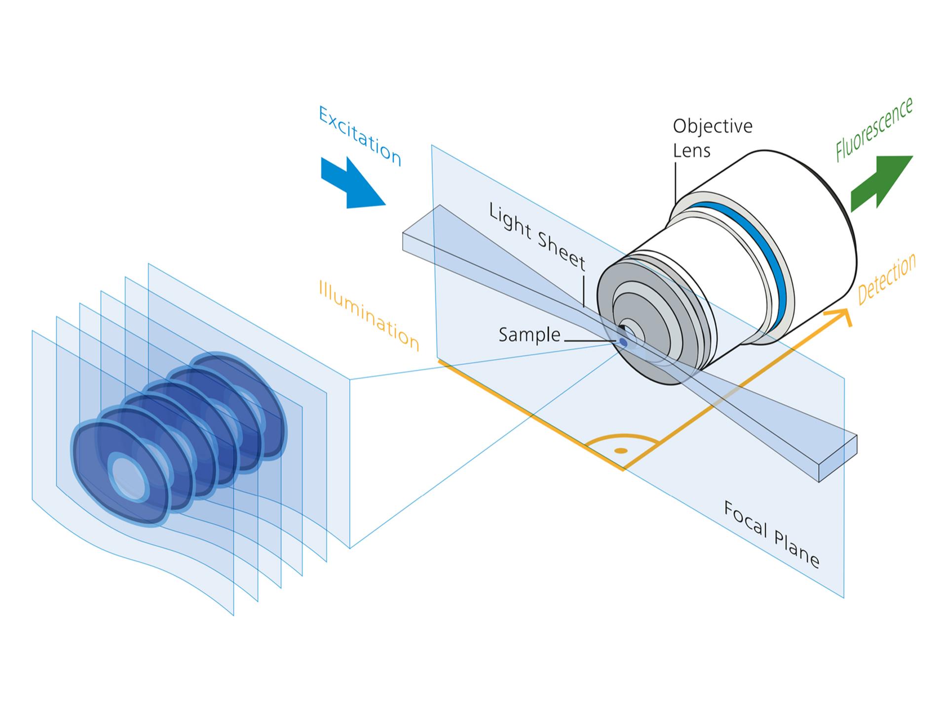 Light Sheet Microscopy Principle