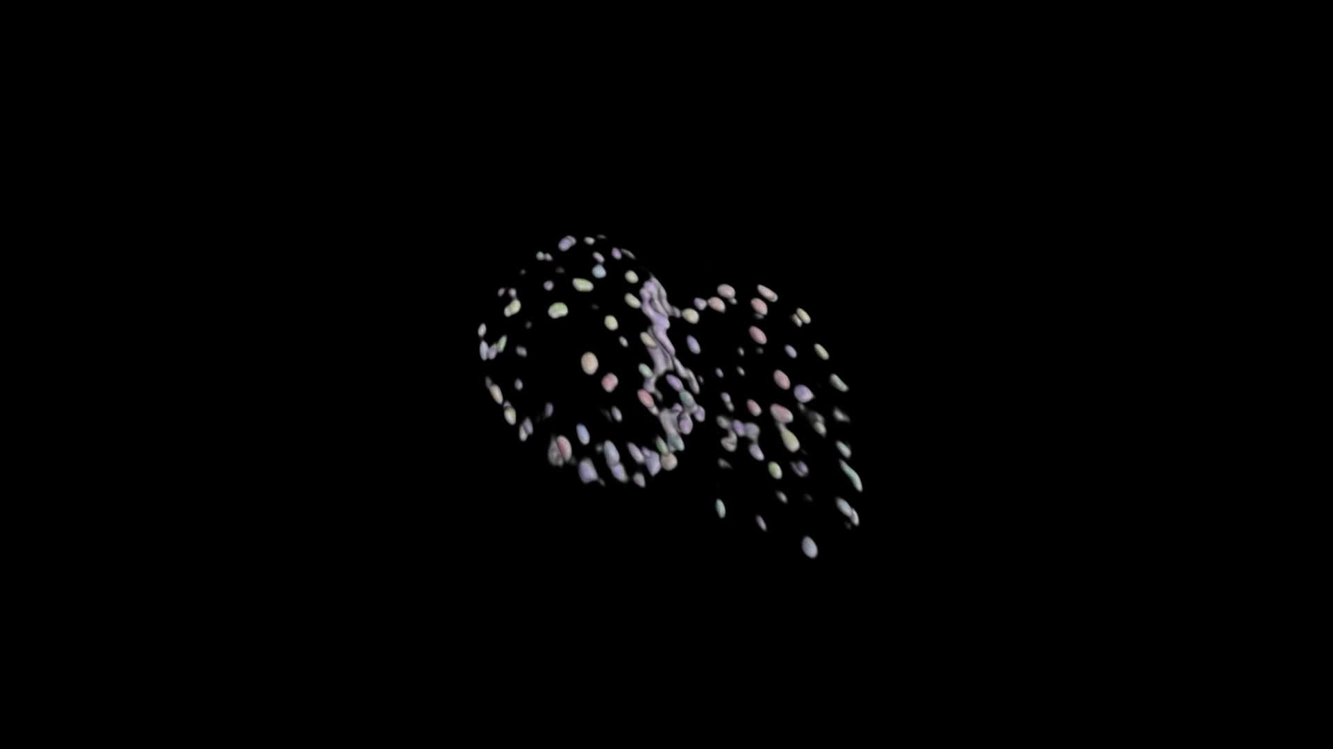 Beating Zebrafish Heart | LF4D