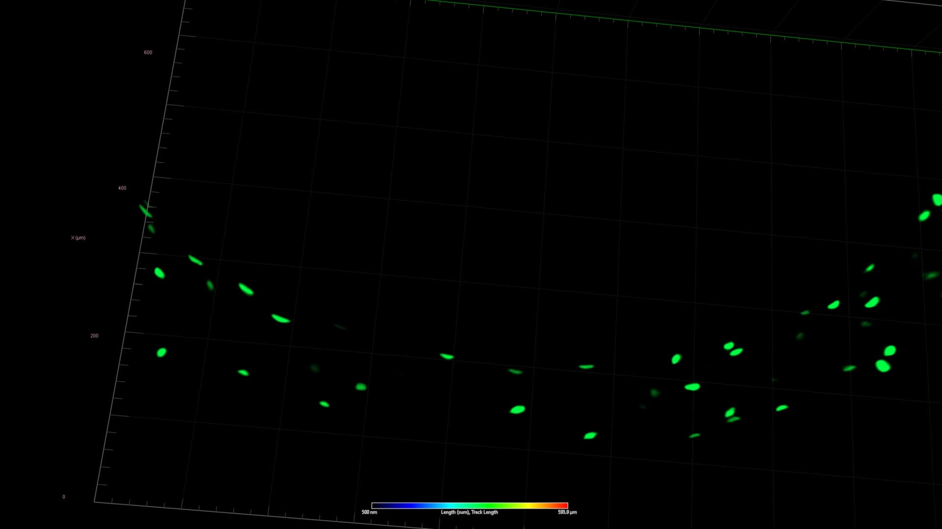 Arabidopsis thaliana | LF4D